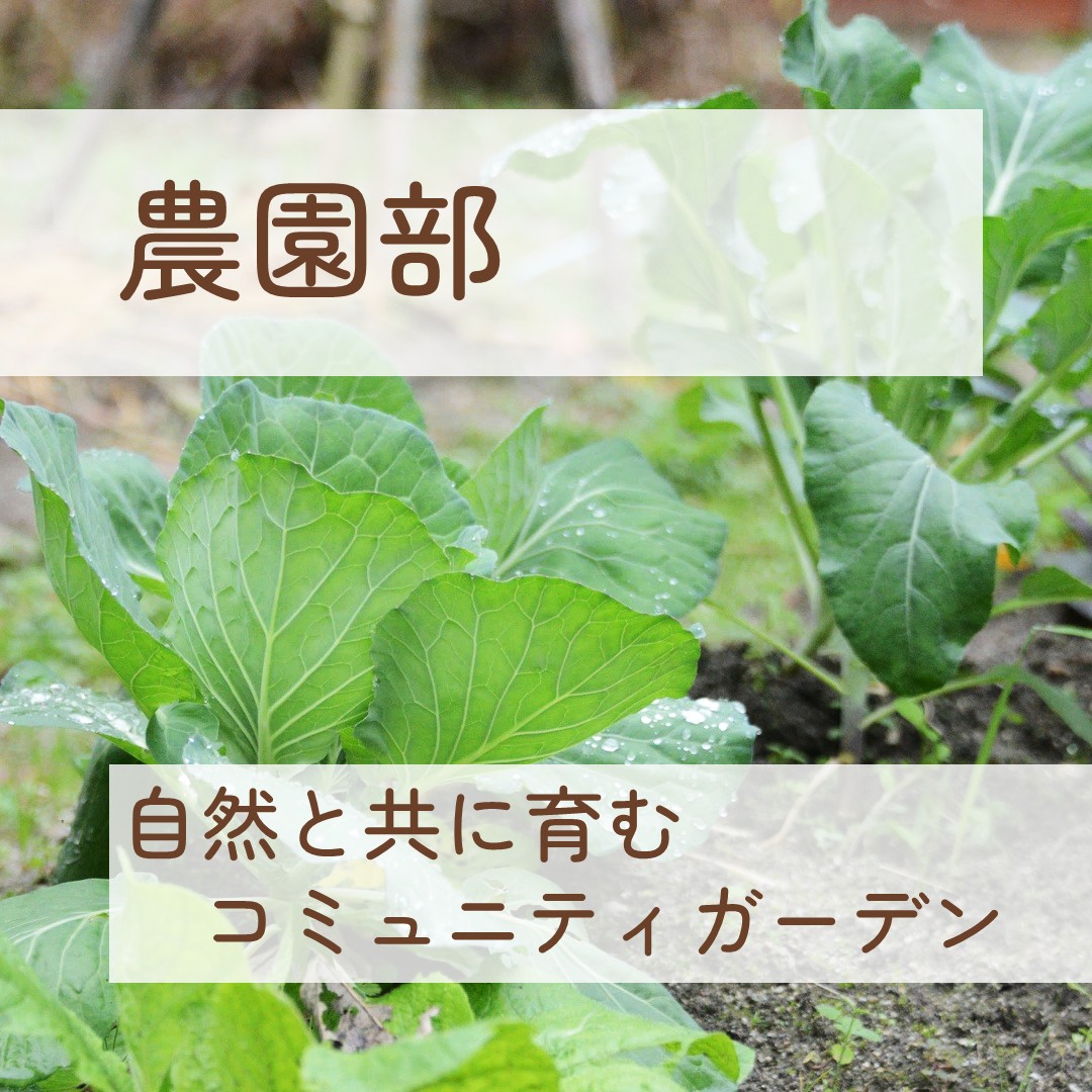 農園部の詳細はこちら