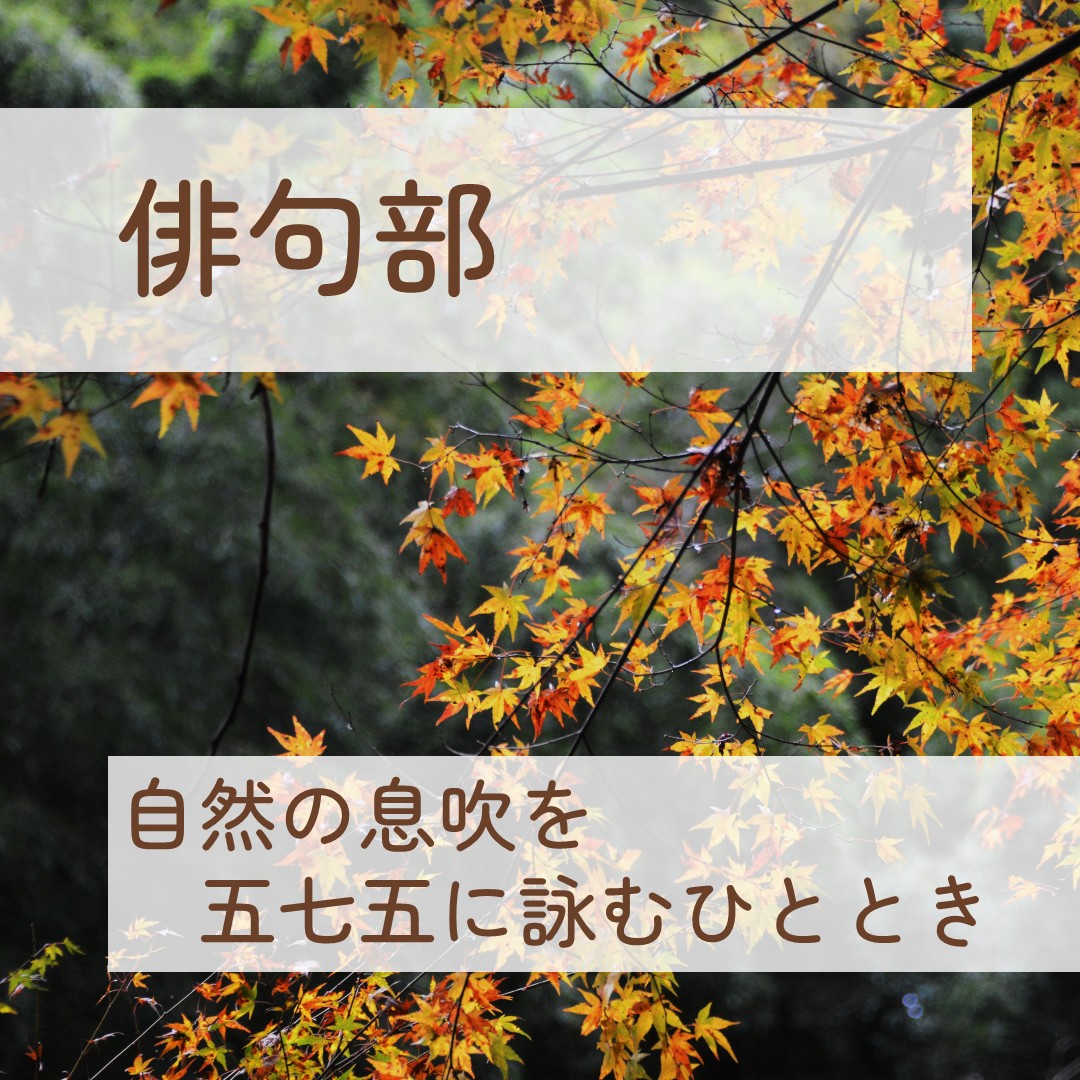 俳句部の詳細はこちら