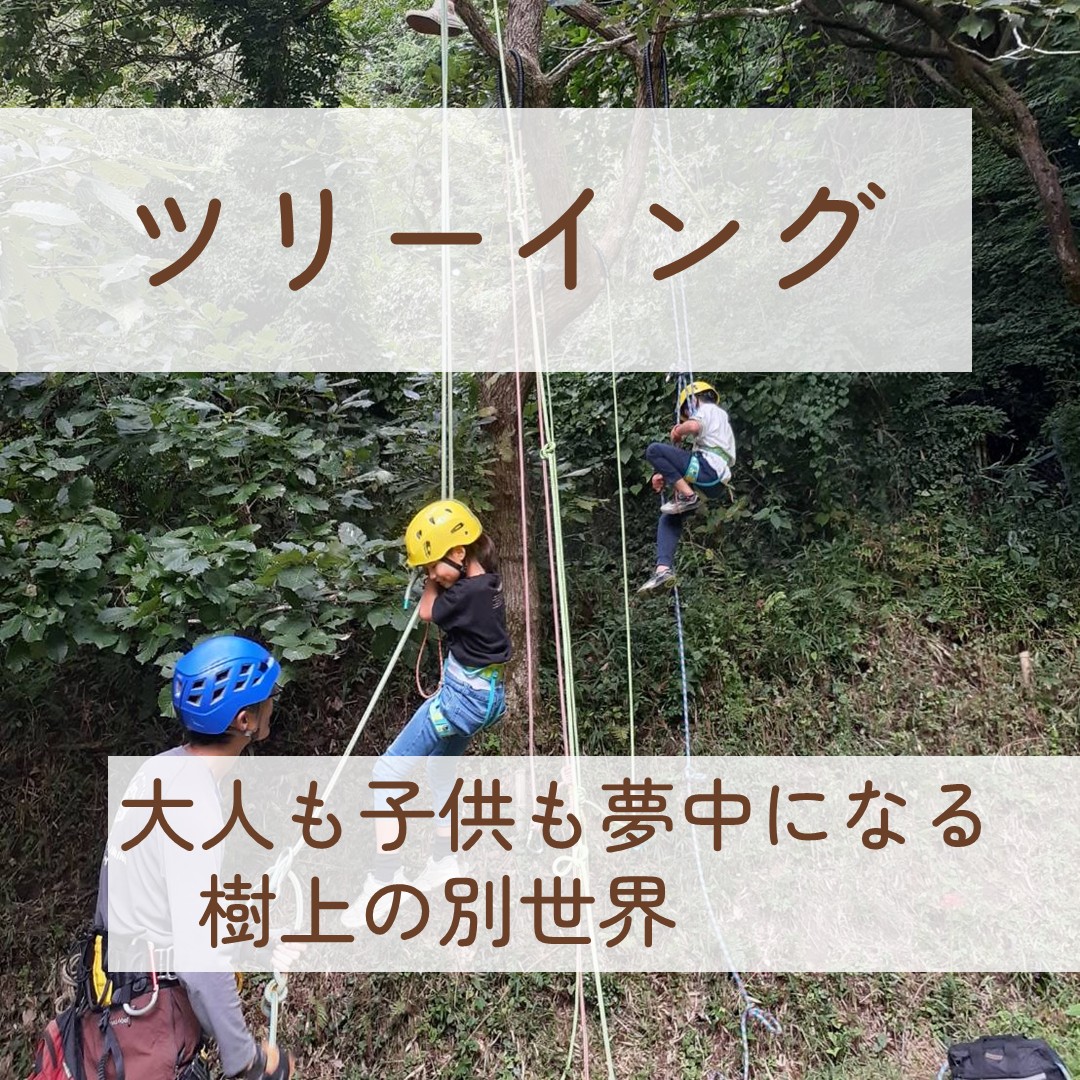 ツリーイングの詳細はこちら